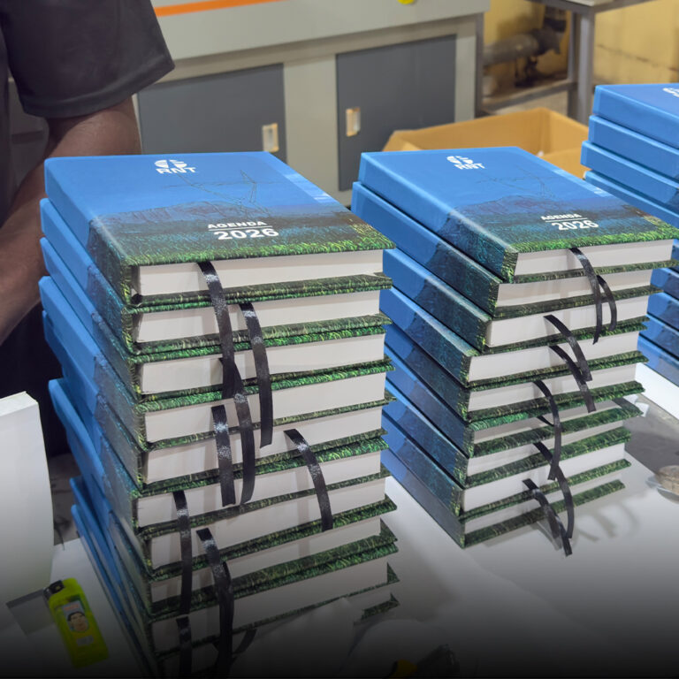 Sem Título-1Prancheta 1 copiar 17