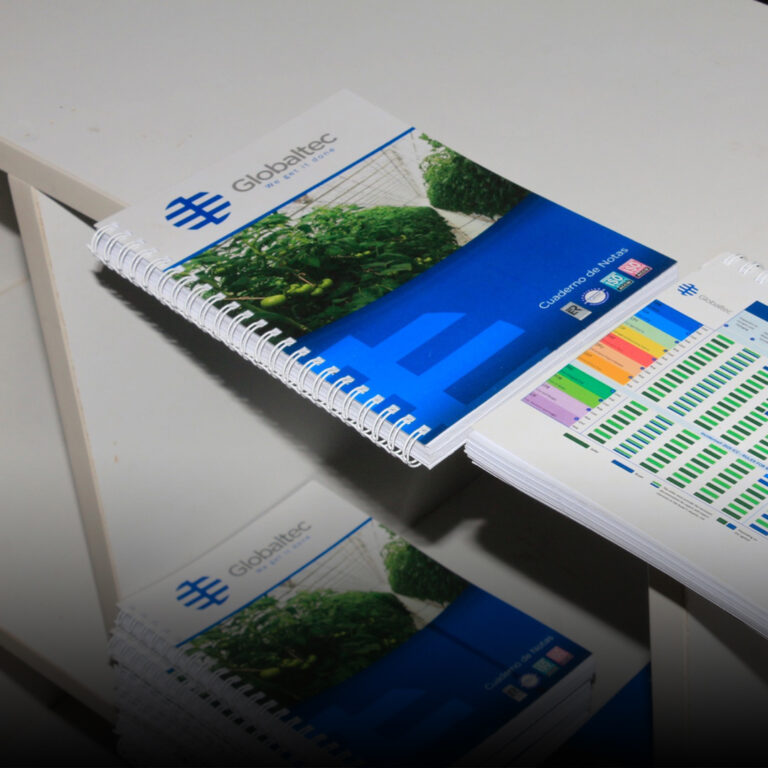 Sem Título-1Prancheta 1 copiar 2