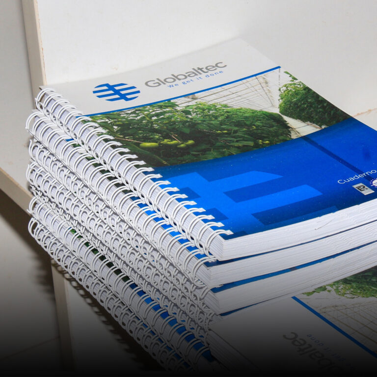 Sem Título-1Prancheta 1 copiar 3