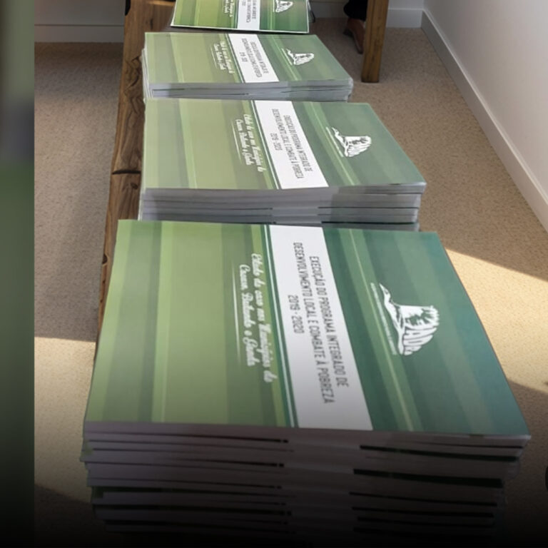 Sem Título-1Prancheta 1 copiar